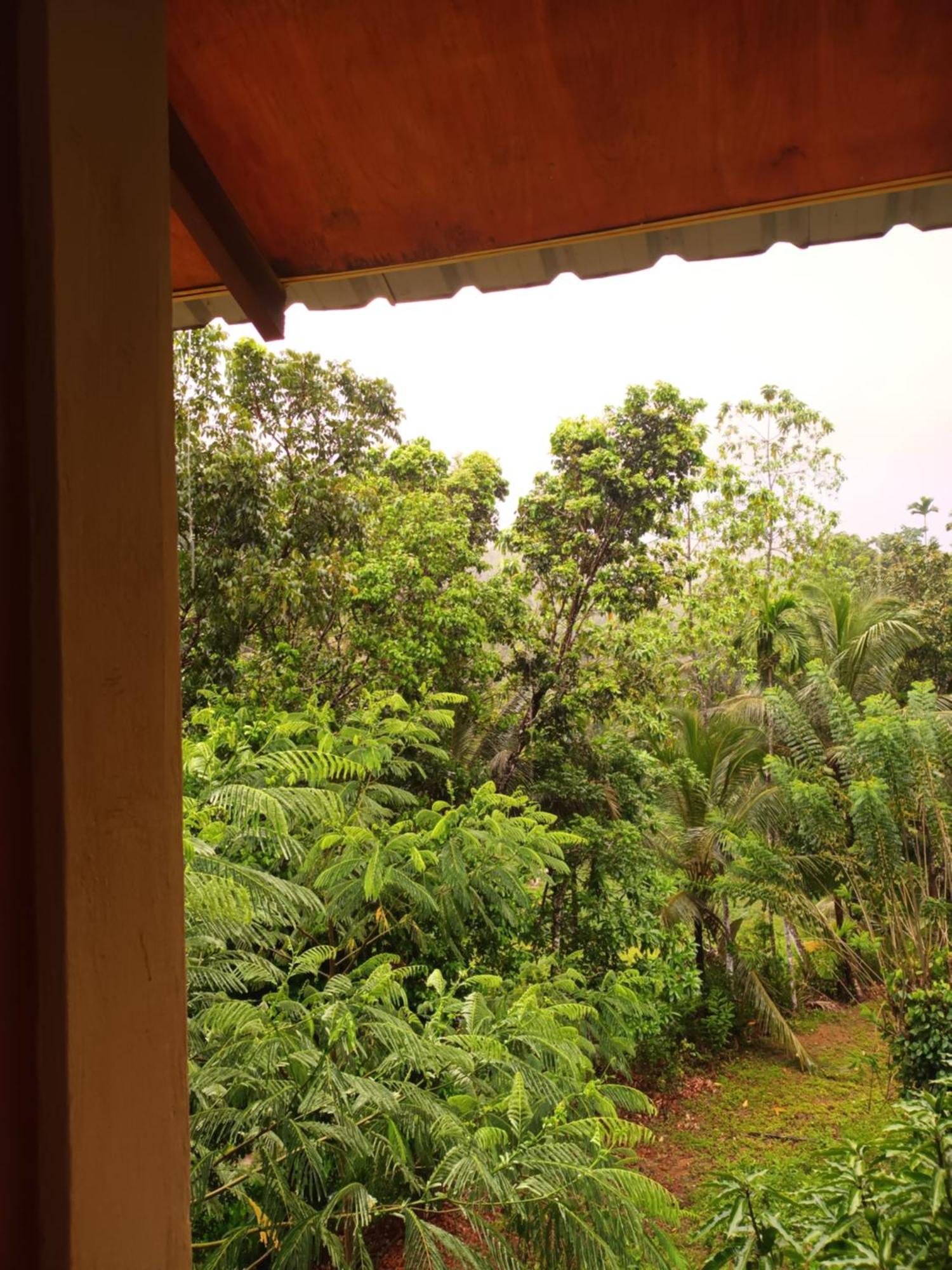 Sunshine Forest Lodge - Sinharaja Deniyaya Buitenkant foto